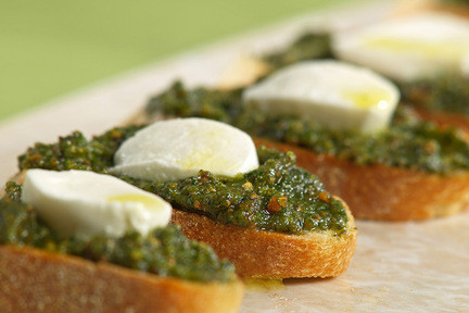 Pestocrostini_p4073304