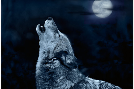 Howl_at_the_moon