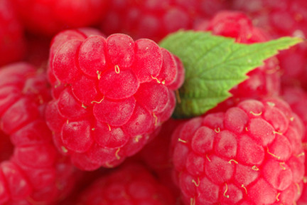 Raspberry-photo