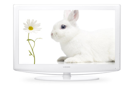 Samsungbunny