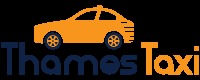 Thames_taxi_logo