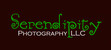 Serendipitylogobrown_052908_prophoto3